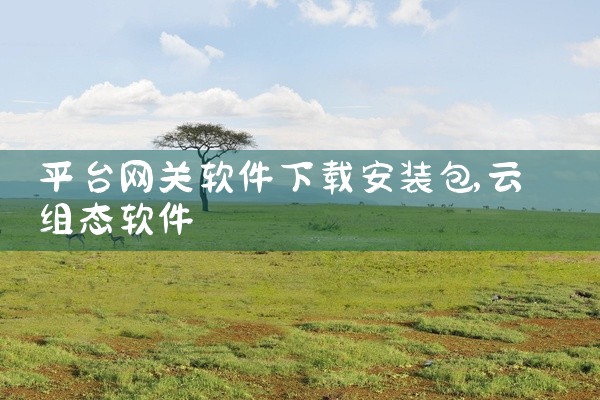 平台网关软件下载安装包