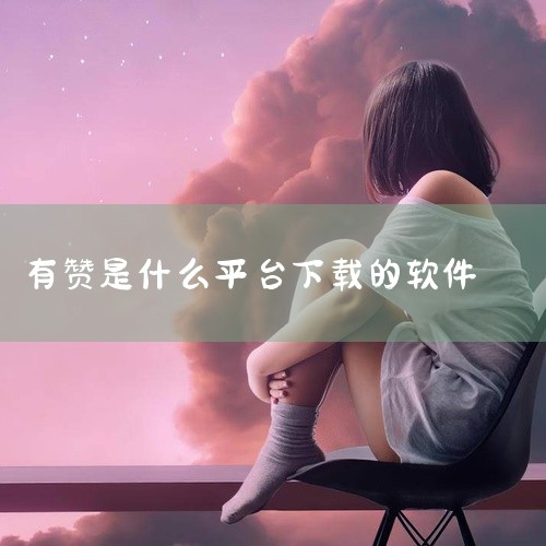 中国有赞有限公司是一家主要从事零售科技服务的企业。中国有赞的子公司可开展全国范围的互联网支付业务，及部分地区的预付卡发行与受理业务，同时可以在全国范围内开展虚拟预付卡业务及跨境结算业务。,