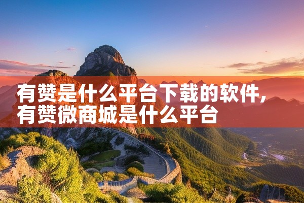 有赞是什么平台下载的软件